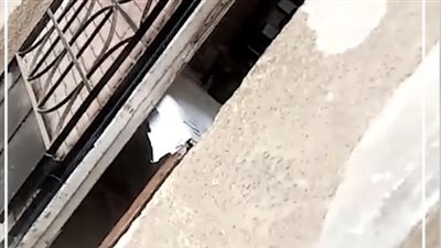 التعليم تشكل لجنة للتحقيق في فيديو تعدي مراقبة على طالب بمدرسة خلال الامتحان