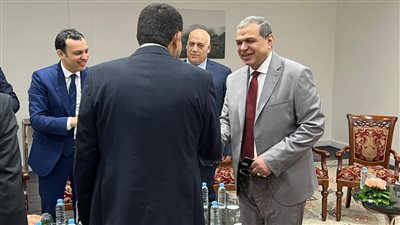 سعفان خلال مؤتمر التشغيل للفئات الأكثر ضعفًا بالمغرب: مستعدون لتبادل الخبرات بمجال العمل والسلامة المهنية