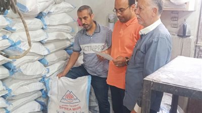 ضبط مصنع أواني الميلامين يستخدم مادة محظورة في التصنيع بالدقهلية │ صور