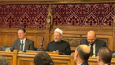 مستشار المفتي: السعار أصاب المنابر الإعلامية الإخوانية بسبب نجاح زيارة علام لبريطانيا 