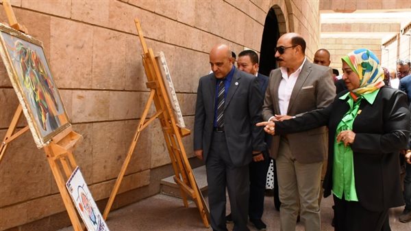 محافظ أسوان