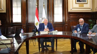 وزير الزراعة: توريد 2.25 مليون طن قمح من المزارعين حتى الآن 