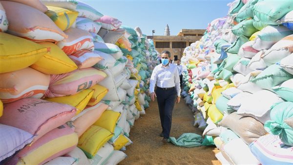 محافظ الغربية يتفقد