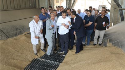 محافظ المنوفية: توريد 91 ألف طن من محصول القمح منذ بدء موسم الحصاد