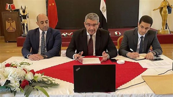 السفير المصري في