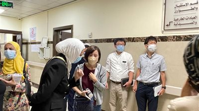 وفد من الوكالة اليابانية للتعاون الدولي يزور بعض المنشآت الصحية بالأقصر