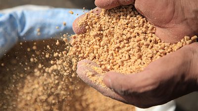 زراعة البرلمان: البنك المركزي سيتولى توفير الاعتمادات اللازمة لواردات الأعلاف