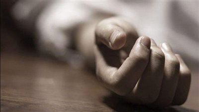 تاركة طفلين.. وفاة ربة منزل بسبب قرصة نحلة في المنوفية | فيديو جراف