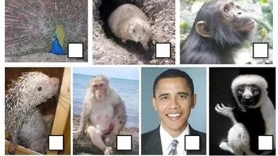 وقف معلمة أمريكية عن العمل بسبب تشبيهها لأوباما بالقرد