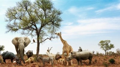 مستشار وزيرة البيئة: تغير المناخ يهدد بتدمير البيئة البحرية للأسماك