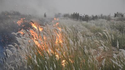 حرق محصول القمح وقتل 6 مواطنين..عناصر داعش تستهدف الأراضي الزراعية بالعراق 