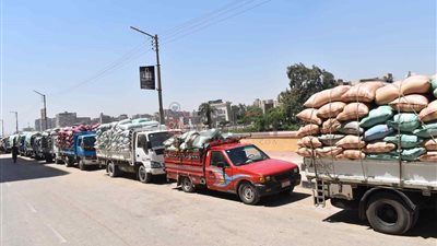 شون وصوامع المنيا تستقبل 342 ألف طن من محصول القمح بجميع مراكزها التسع