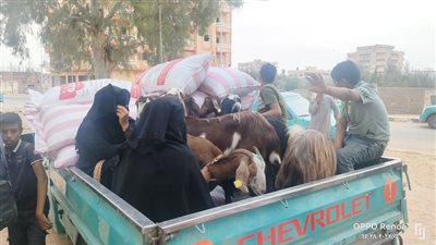 التضامن: مشروعات تمكين اقتصادي لـ 900 مستفيد بالبحر الأحمر وشمال سيناء.. وجارٍ تسليم 600 مشروع بقنا 