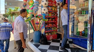 تحرير 20 محضرًا تموينيًا خلال حملة مكبرة بدسوق في كفر الشيخ │ صور