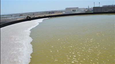 محافظ بورسعيد وأمين عام وزارة البترول يتفقدان محطة معالجة مياه حقل ظهر | صور 