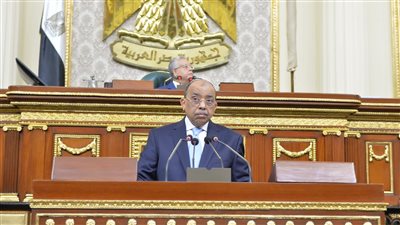 تحويل 6 آلاف موظف بالإدارة المحلية للنيابة العامة والإدارية