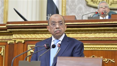 شعراوي: الأراضي الزراعية خط أحمر للدولة.. ولن نسمح بأي تعديات أو توسعات مخالفة عليها