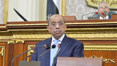 شعراوي يعرض أمام البرلمان جهود التنمية المحلية لتطوير مواقف السيارات وساحات الانتظار بالمحافظات