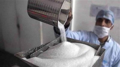 لأول مرة.. مصر تتجه لتصنيع السكر من البلح بغرض التصدير