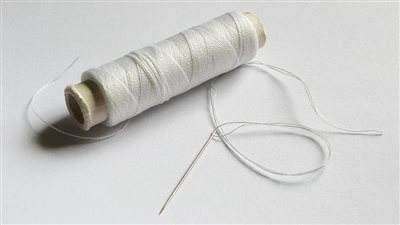 ذاكرة الأمثال.. زي الإبرة تكسي الناس وهي عريانة