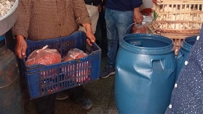 ضبط كميات كبيرة من اللحوم الفاسدة بمطبخ تابع لمطعم شهير بالشرابية | صور