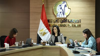 القومي للمرأة: تدريب 2 مليون سيدة على إدارة المشروعات والتثقيف المالي بمشروع تنمية الأسرة