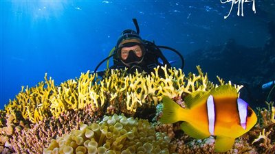 السياحة: نتائج إيجابية لحملة مصر ترحب بضيوفها.. ووصولها لـ60 مليون مستخدم عبر مواقع التواصل الاجتماعي