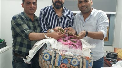 جمارك الطرود البريدية بمطار القاهرة تحبط تهريب كمية من نبات القات المخدر 