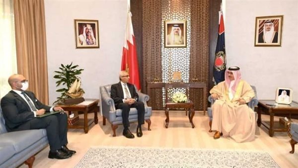 السفير المصري ووزير