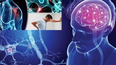 اكتشاف الأجسام المضادة قبل 5 سنوات من الإصابة.. باحثون أمريكيون يطورون اختبار دم لتشخيص حالات التصلب المتعدد