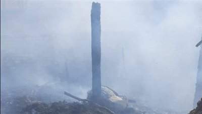 نفوق عدد من المواشي إثر اندلاع حريق بأحد الحظائر في أسيوط |صور