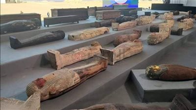 تأكيدًا لـ القاهرة 24.. الآثار تعلن كشفًا أثريًا جديدًا بمنطقة سقارة الاثنين المقبل 