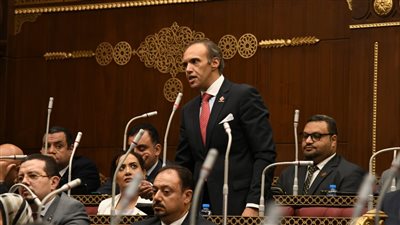 برلماني يطالب بإزالة العوائق الجمركية على الأغذية: المصريون ينفقون ثلث دخلهم على الغذاء