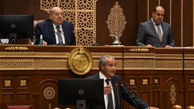 وزير التموين: لن أسمح بزيادة سعر الأرز عن 13 جنيهًا