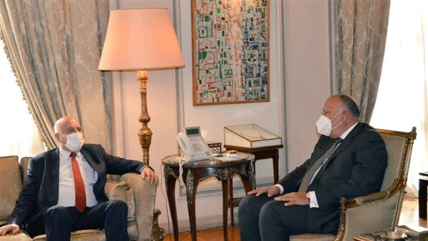 وزير الخارجية سامح