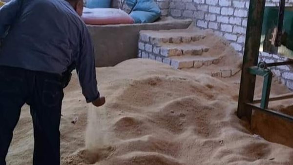 جانب من الأقماح المضبوطة