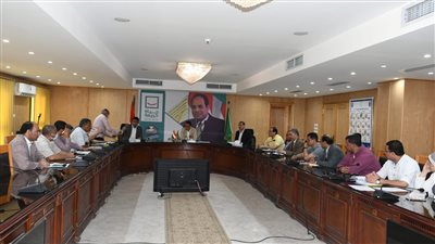 محافظ الفيوم: توريد 138 ألف طن قمح للصوامع حتى اليوم