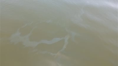 سحب عينات مياه بعد ظهور بقعة سولار أمام مأخذ محطة شطورة بسوهاج| صور