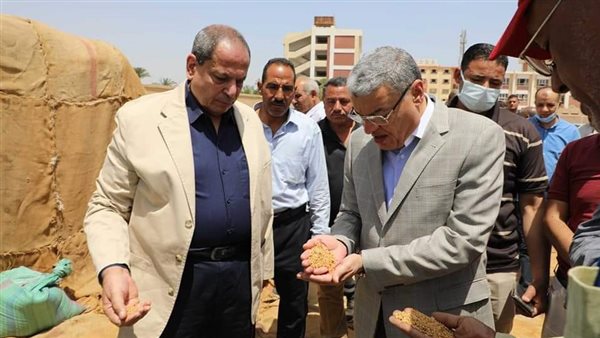 استقبال محصول القمح