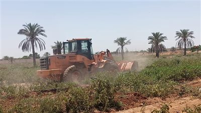 جهاز العاشر من رمضان يسترد 20 فدانا من الأراضي المعتدى عليها