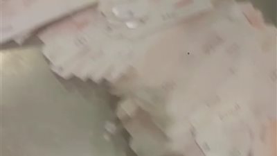 جمارك مطار القاهرة الدولي تضبط راكبين حاولا تهريب 392 شريطًا دوائيًا خاصًا بمنع الحمل والمسكنات | صور