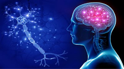 علاج جديد يبطئ تطورات المرض.. علماء يكتشفون آلية جديدة وراء الخرف