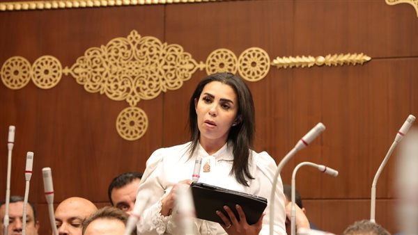 النائبة سها سعيد