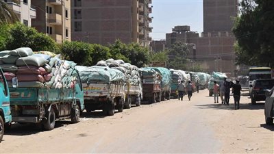 شون وصوامع المنيا تستقبل 421 ألف طن قمح