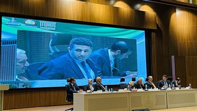 السفير عمرو الجويلي يطرح استراتيجية للمشاركة الفعالة للدول النامية في المؤسسات الدولية