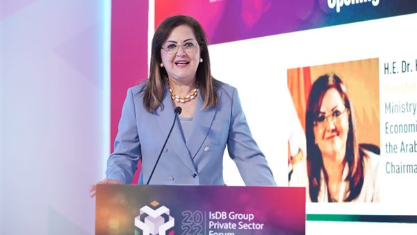 وزيرة التخطيط