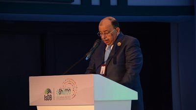 تريليون جنيه و4500 قرية.. شعراوي يستعرض تفاصيل حياة كريمة كنموذج للتنمية 