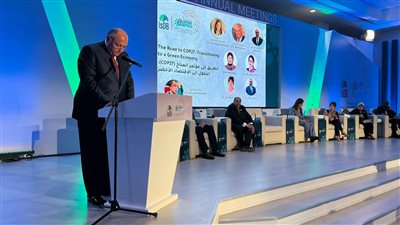 وزير الخارجية يؤكد ضرورة تكاتف جميع الأطراف لتنفيذ تعهدات المناخ وتحويلها لواقع ملموس | صور