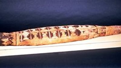 منها مومياء لتمساح.. تعرف على أهمية العظم في مصر القديمة 