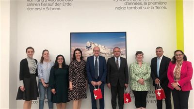 منها سيدة من الألباستر وتمثال أبو الهول.. مصر تسترد قطعًا أثرية من سويسرا | صور